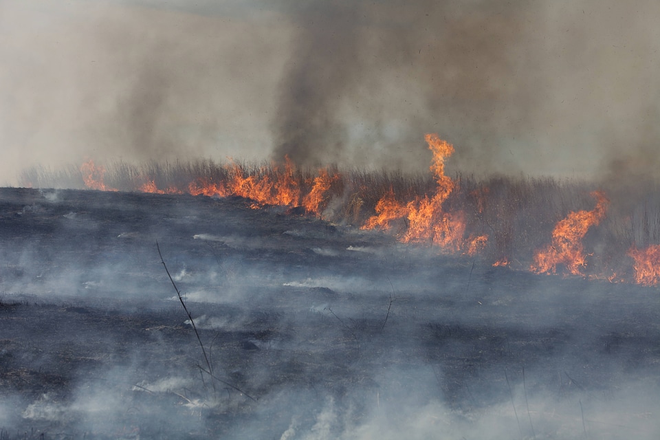 Burning field-7