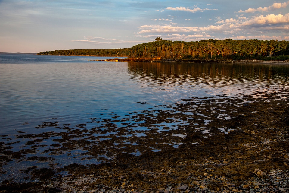 New England coast-2