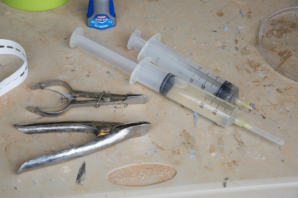 Syringe and speculum used in extracting glochidia from a freshwater mussel