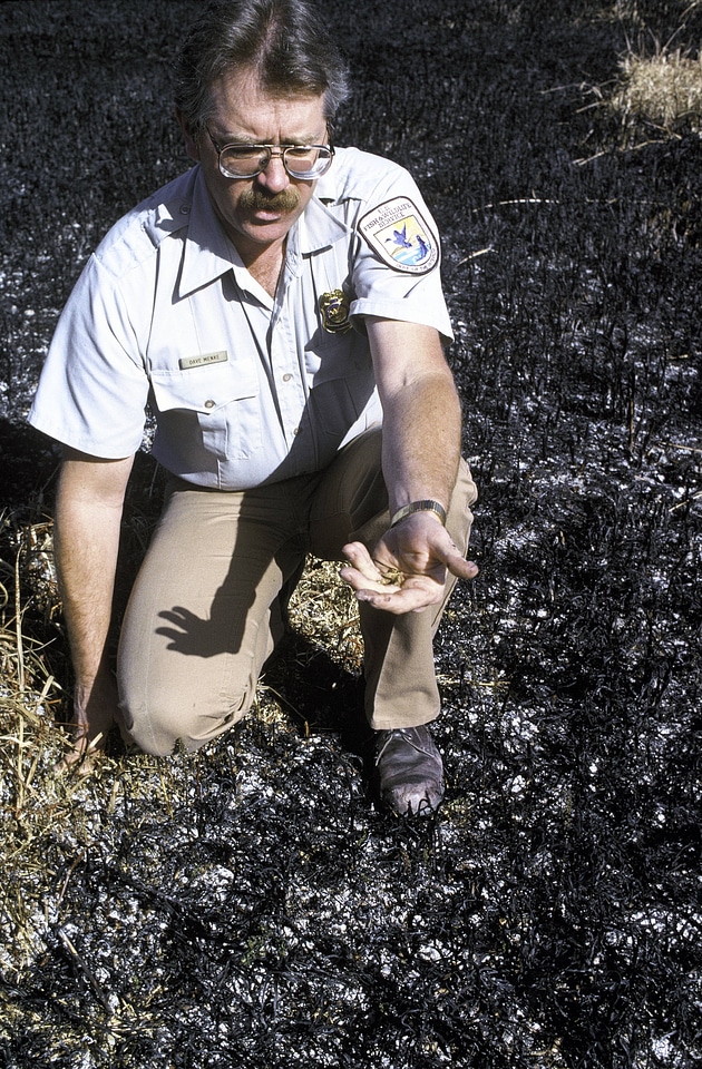 FWS Employee Checks Area After Prescribed Burn