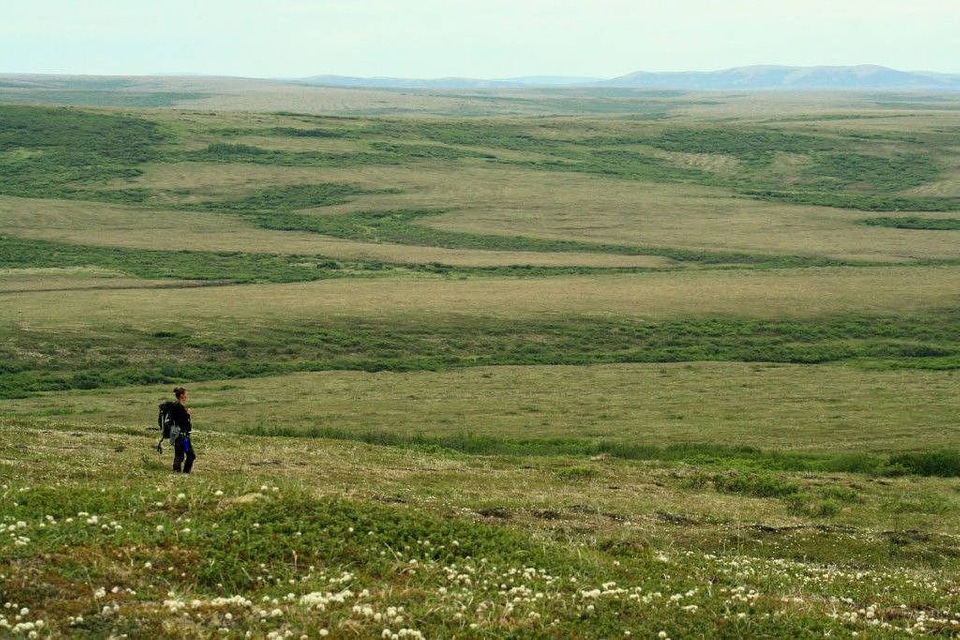 Hiking in Andreafsky Wilderness