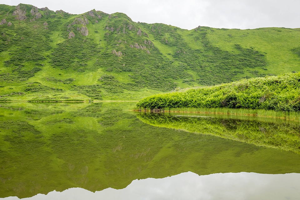 Kodiak National Wildlife Refuge-2