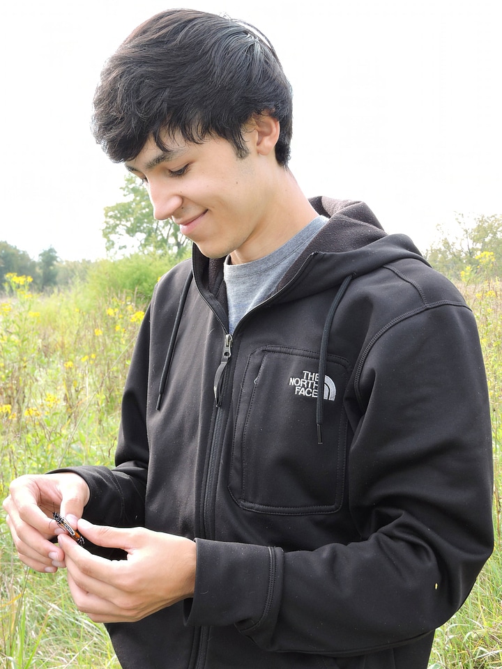 Tagging a Monarch butterfly-3