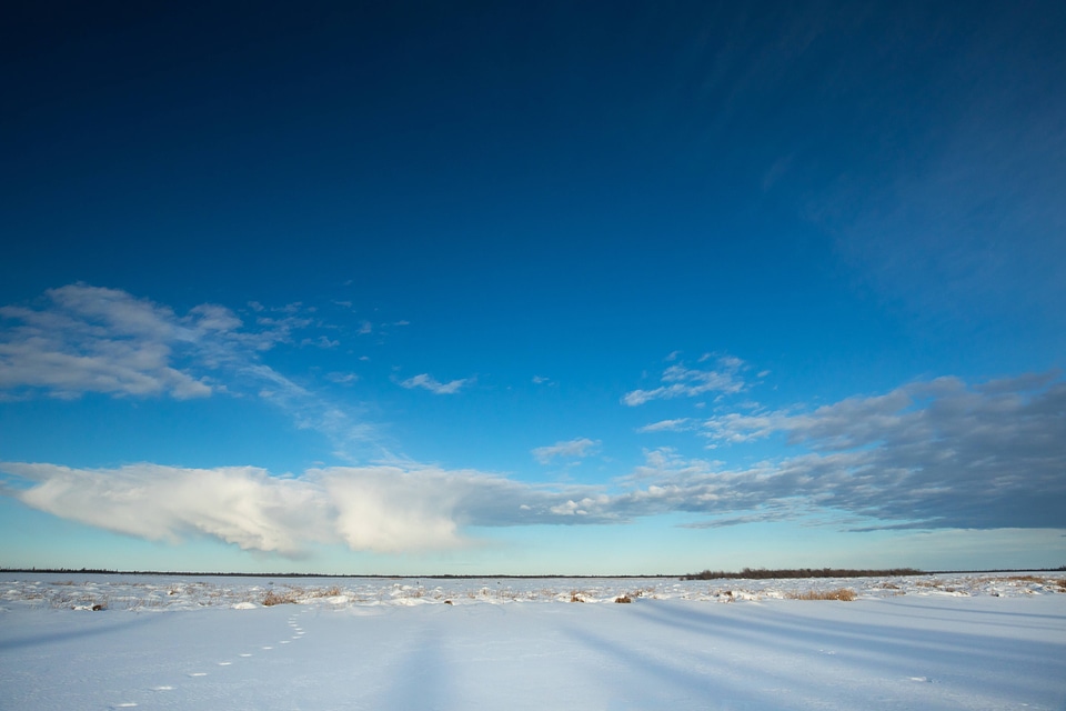 Snowshoe hare tracks lead across a frozen lake