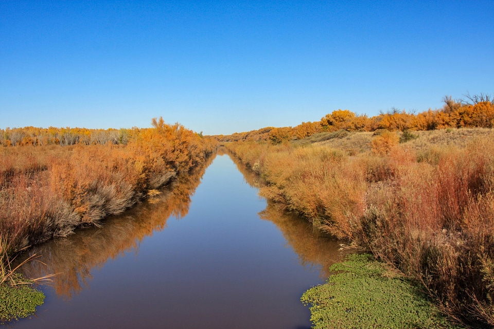 Fall color reflections on the conveyance channel near the Rio Viejo Trail