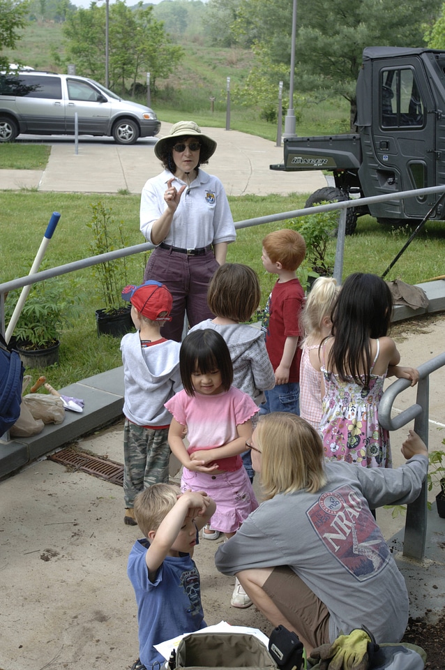 Talking about Pollination