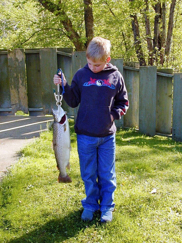 Child catches brown trout