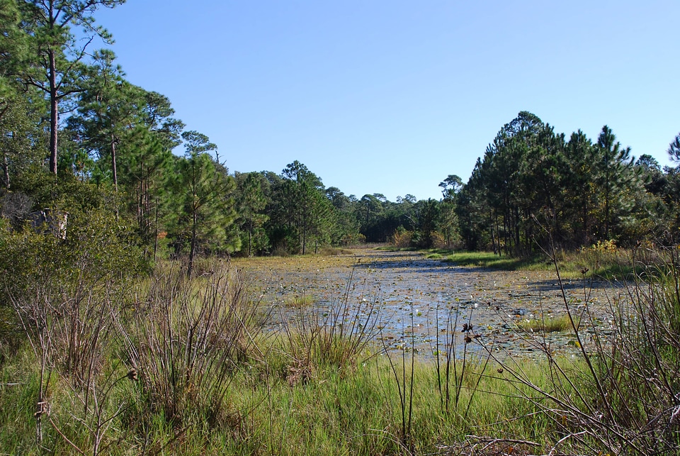 Scenic view of Bon Secour National Wildlife Refuge-1