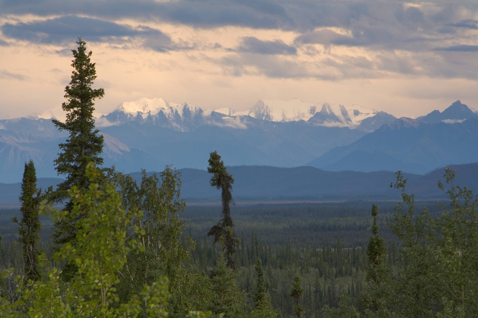 Mentasta Mountains in southwest corner of Tetlin National Wildlife Refuge
