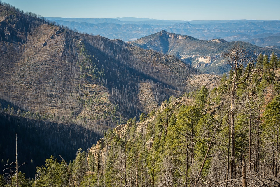 Area of Gila National Forest burned by Whitewater Baldy fire of 2012-2