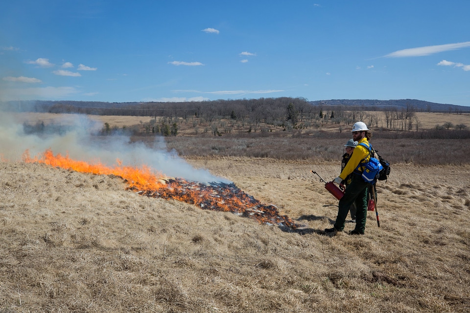 Fireman setting fire in grassland