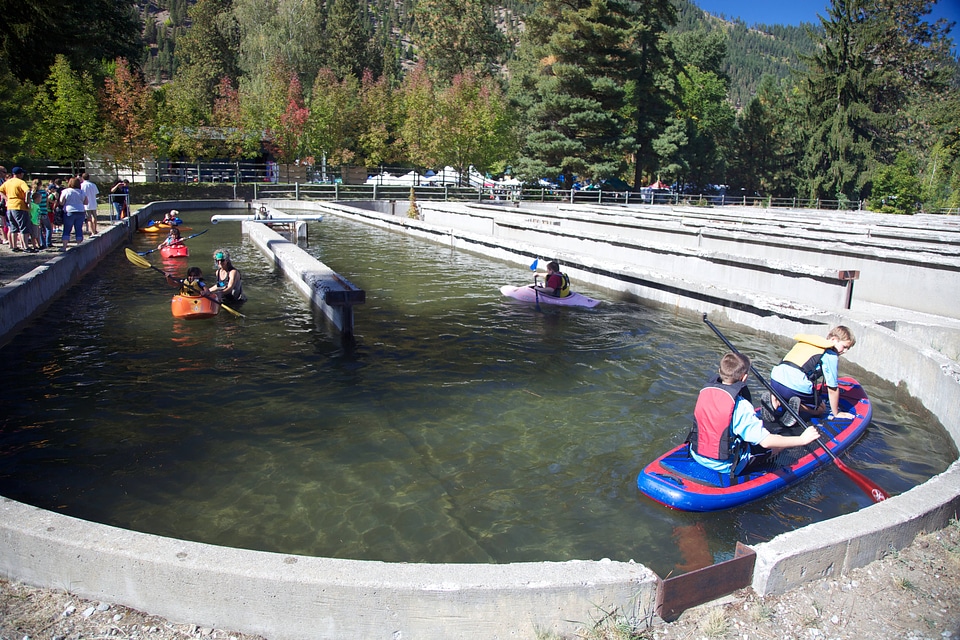 Children kayaking
