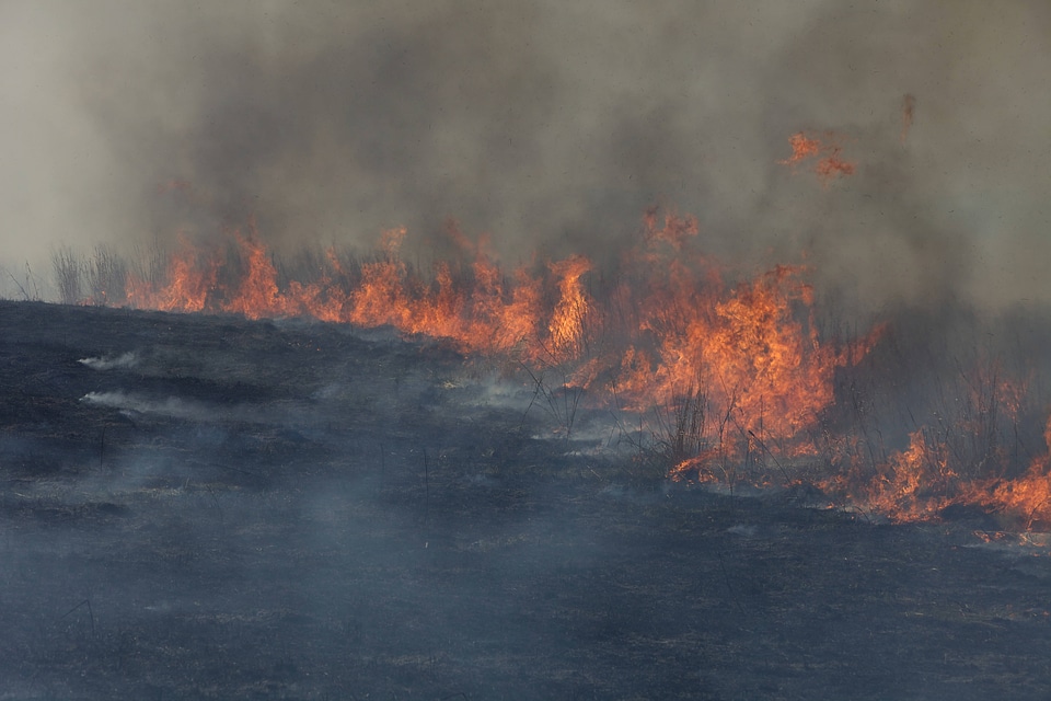 Burning field-4