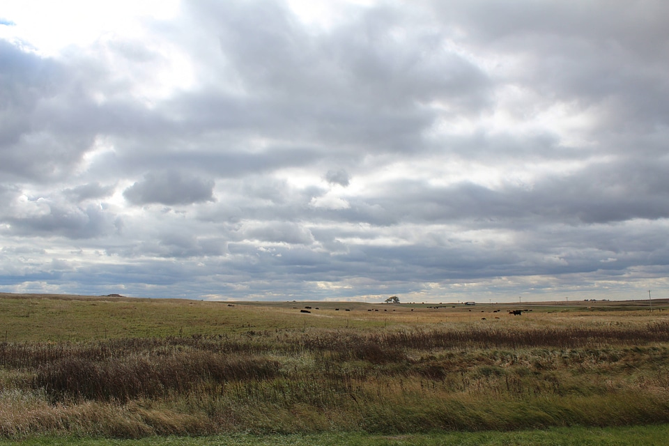 Grassland easement at Long Lake Wetland Management District-4