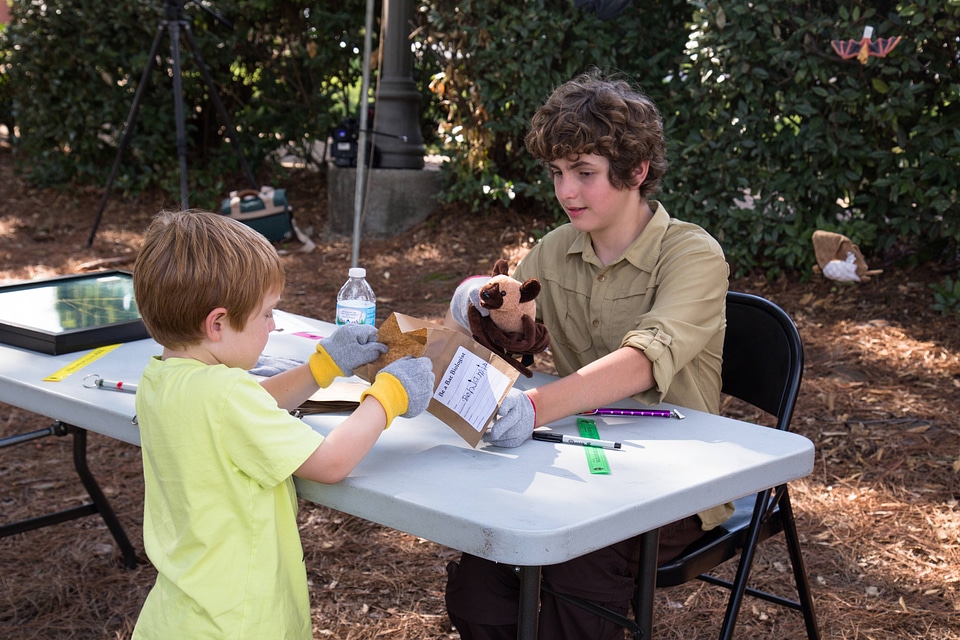 Two boys preparing to examine bats-1