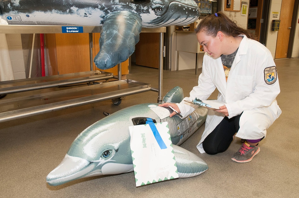 Marine Mammal Stranding Course at NCTC-3
