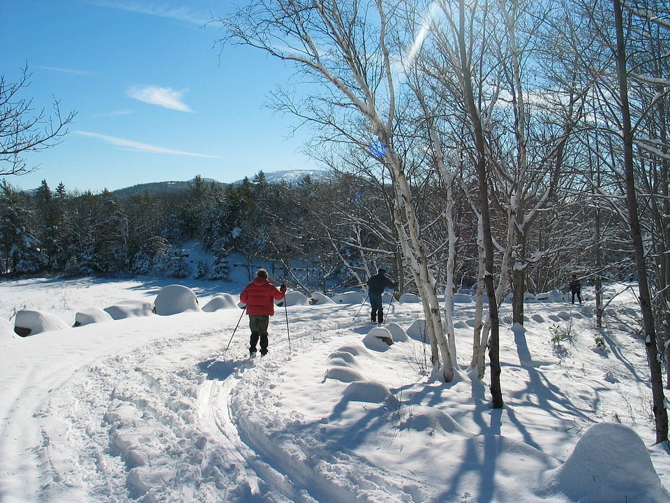 Winter snow ice photo