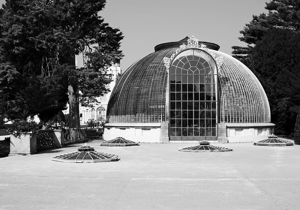 Greenhouse fridge the dome window