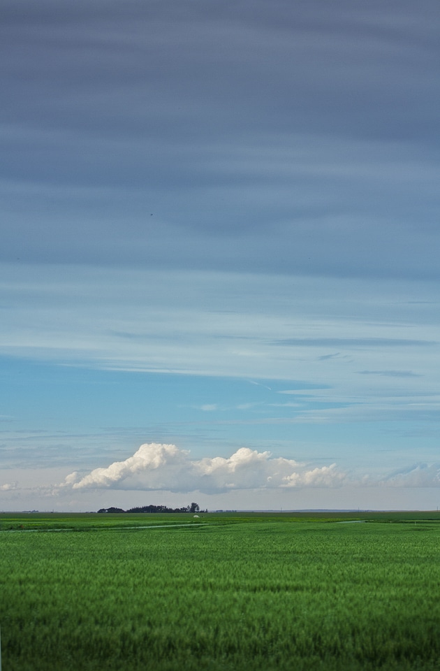 Open field prairie life saskatchewan