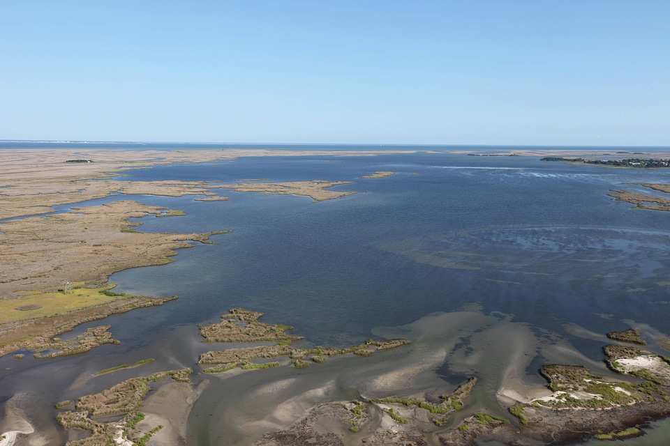 Cheaspeake Marshlands 