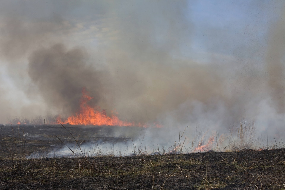Burning field-1