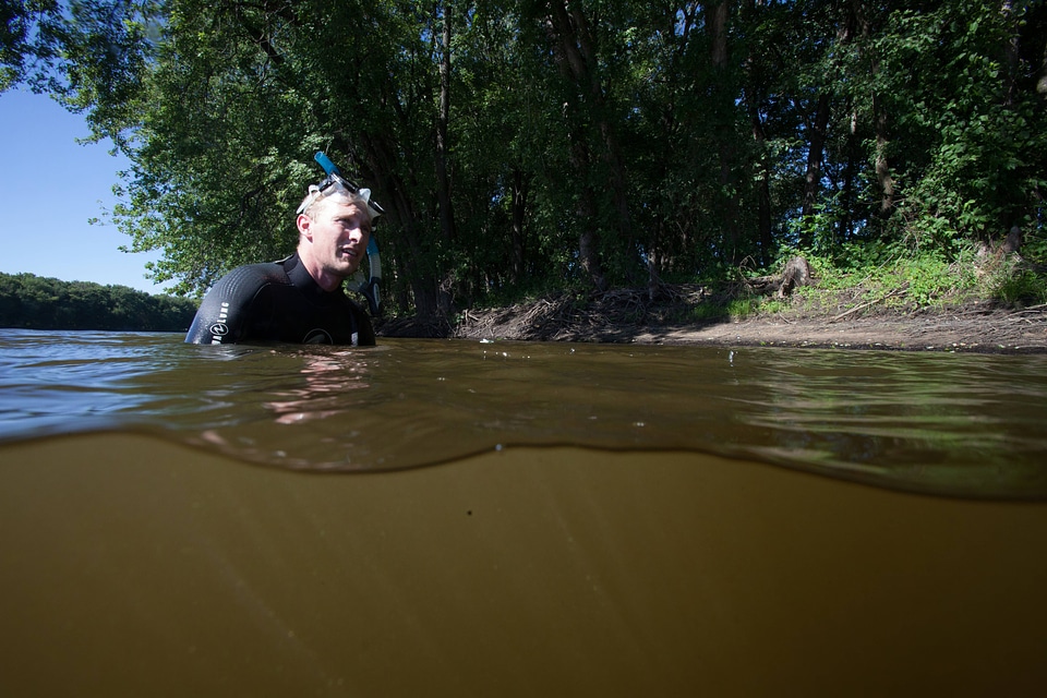 Diver holds a freshwater mussel-3