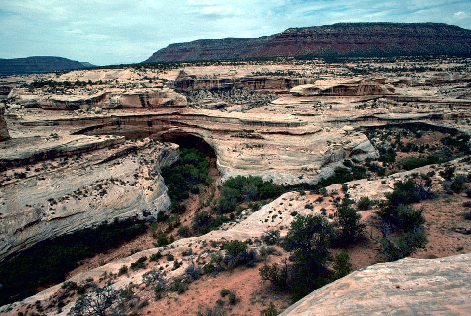 Natural Bridges National park