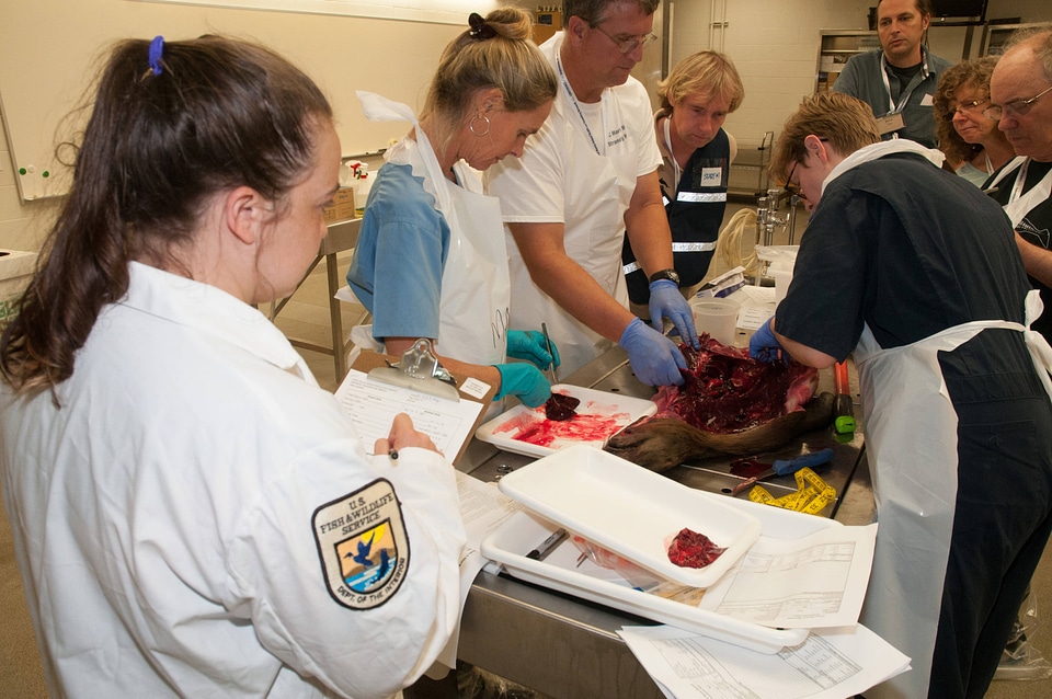 Marine Mammal Stranding Course at NCTC-5