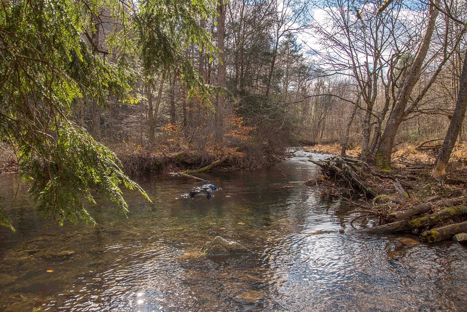 Photographer taking pictures of brook trout in Seneca Creek-3
