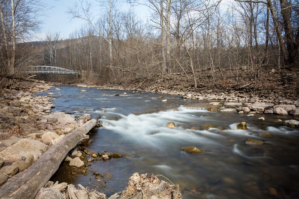 Scenic view of Seneca Creek