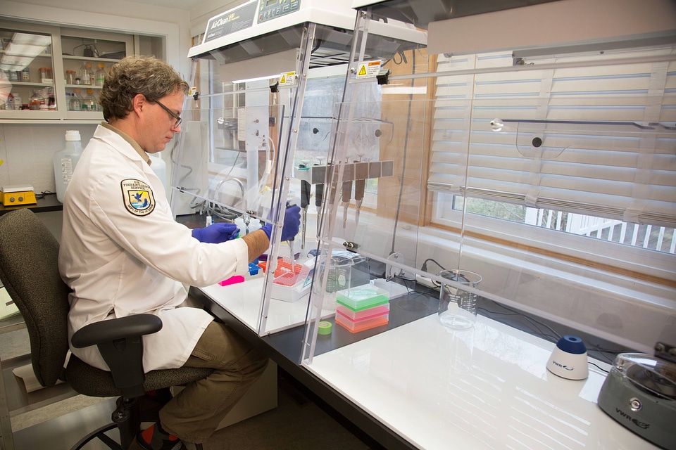 Geneticist at work-1