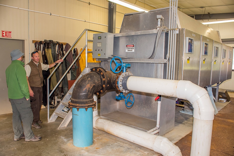 Sturgeon Building water processing system-1