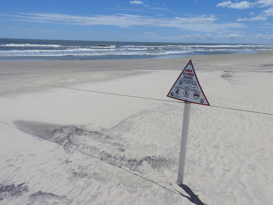 Endangered Birds Nesting sign-2