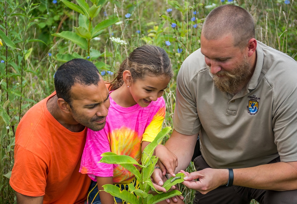 FWS employee shows a young girl (and dad) a Monarch caterpillar-1