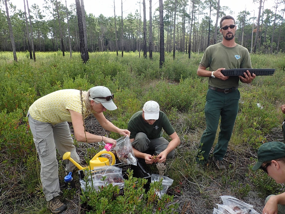 Seepage slope restoration project