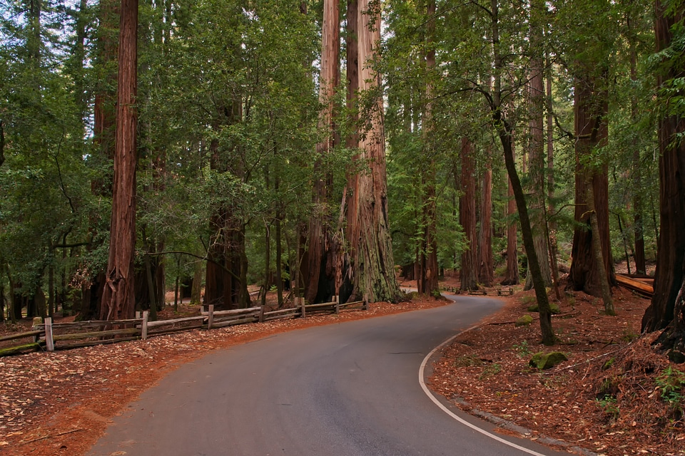 Road national park usa
