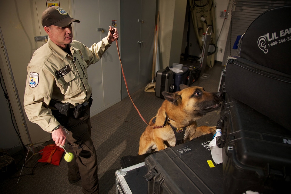 Law enforcement with K-9-1