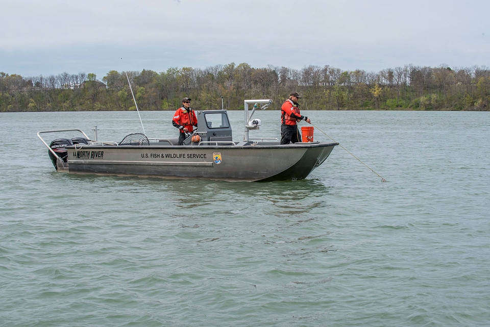 USFWS Fisheries crew in boat preparing for lake sturgeon field work-1