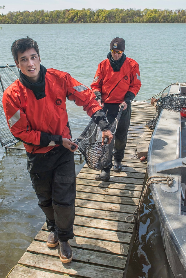 USFWS Fisheries crew transports lake strugeon to shore-1