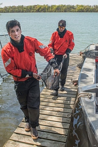 USFWS Fisheries crew transports lake strugeon to shore-1