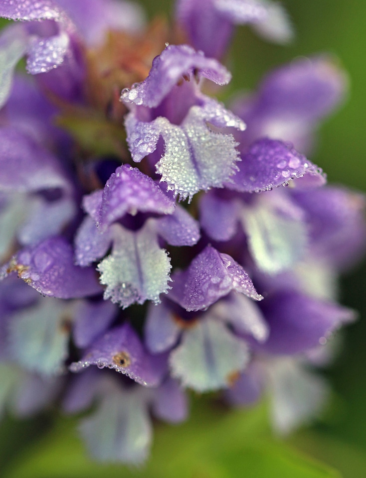 Self-heal