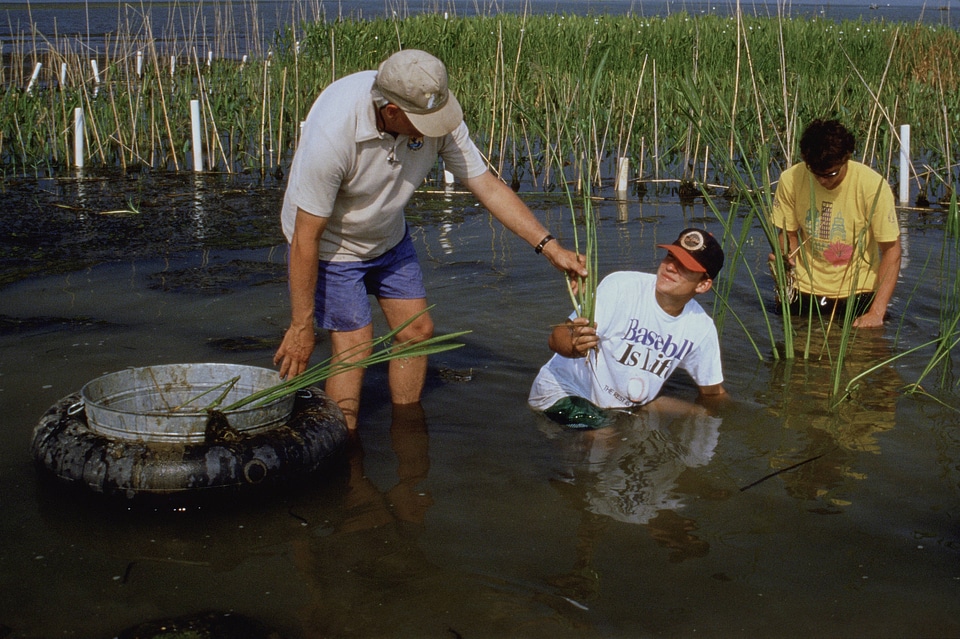 Habitat Restoration
