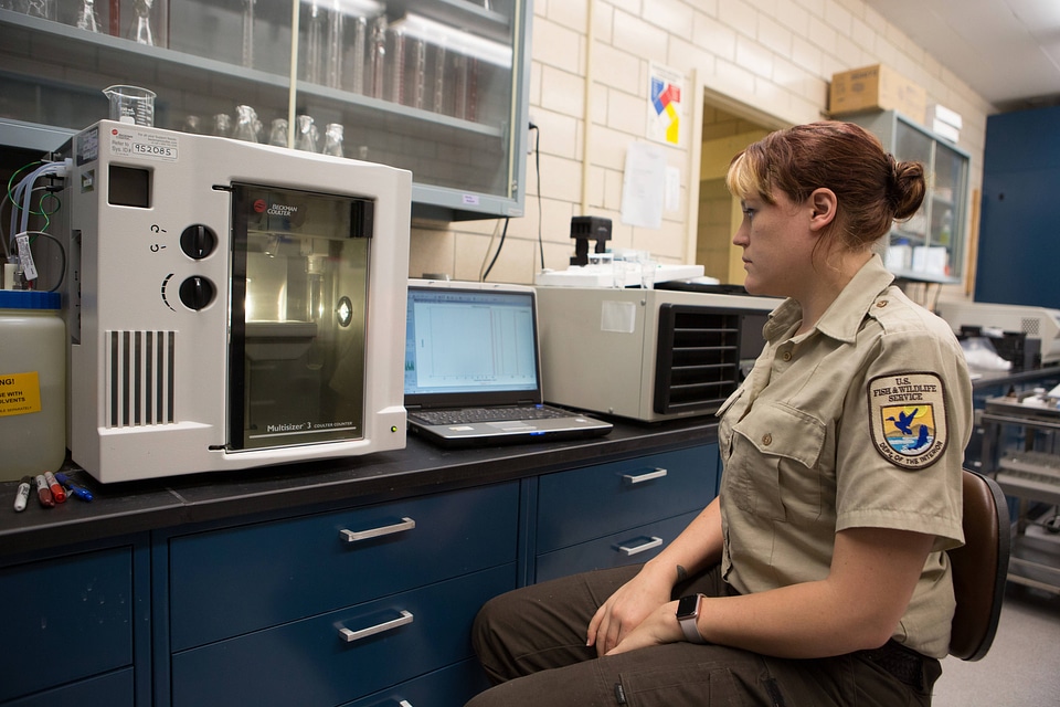 FWS biologist tests a blood sample from a grass carp-2