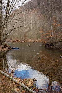 Photographer taking underwater pictures of brook trout in Seneca Creek-1