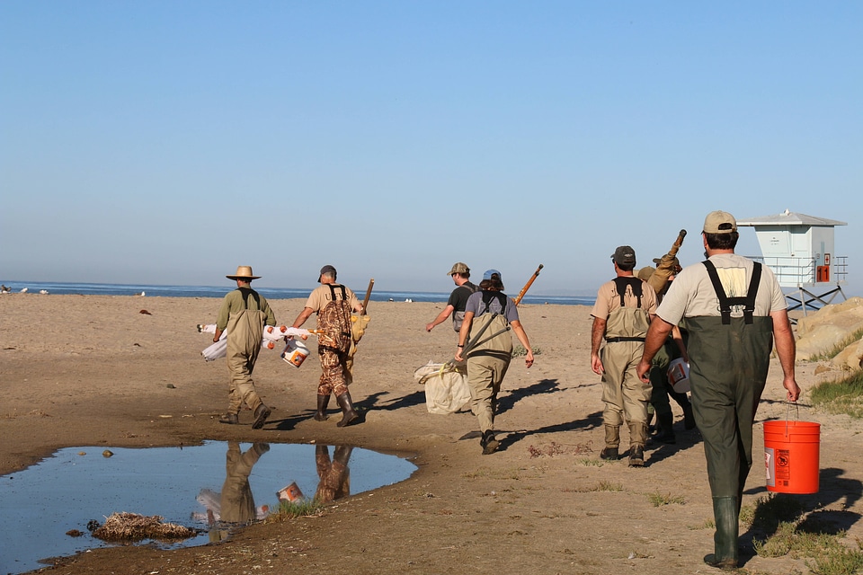 Estuarine habitat of the Tidewater goby