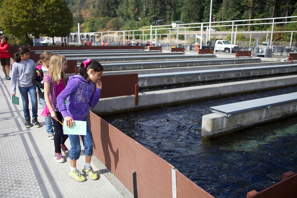 Educational hatchery tours