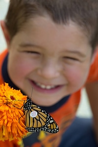 Tagged Monarch and child-1