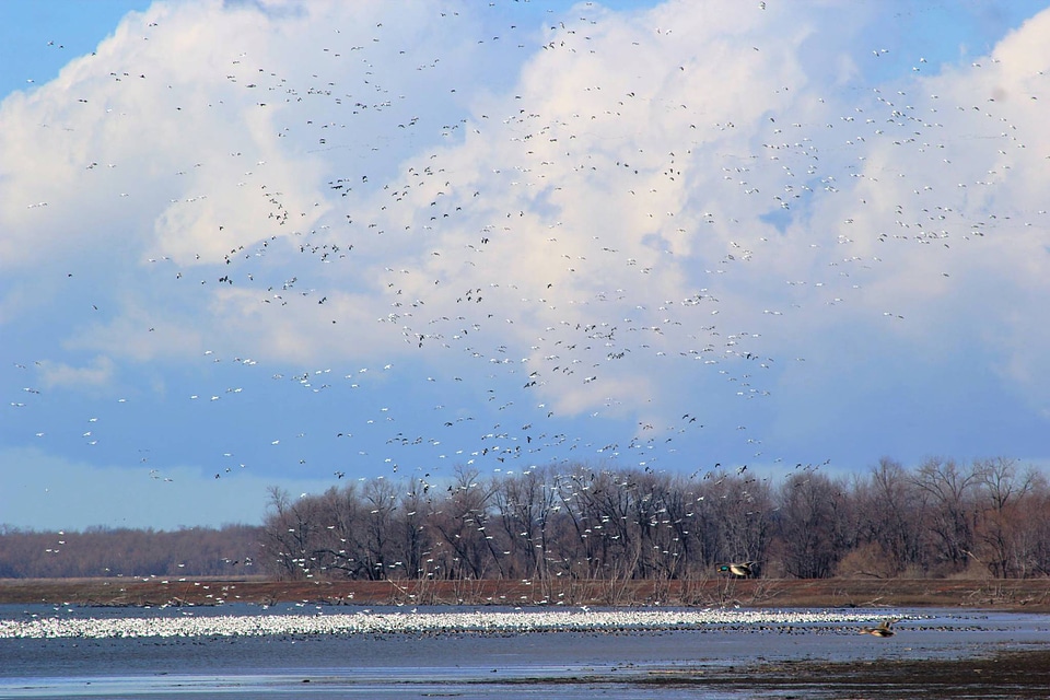 Chautauqua National Wildlife Refuge