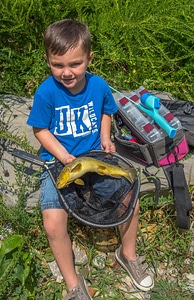 Little boy holding brown trout photo