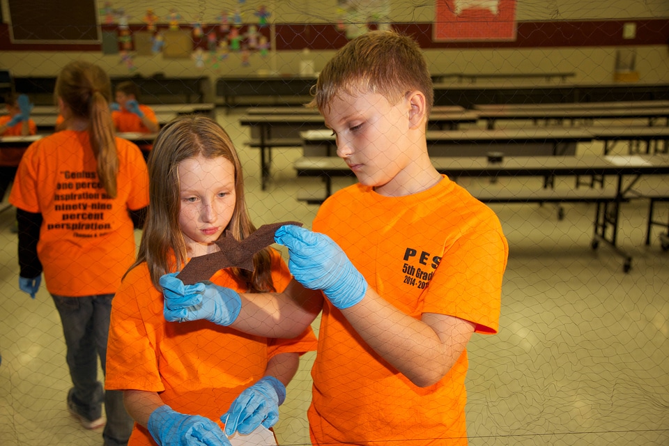 Students learn about bats-2